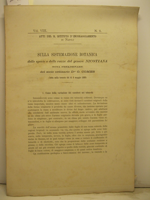 Sulla sistemazione botanica delle specie e delle razze del genere nicotiana. Nota preliminare